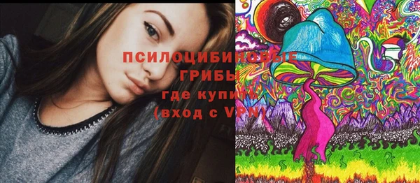 прущая мука Горно-Алтайск