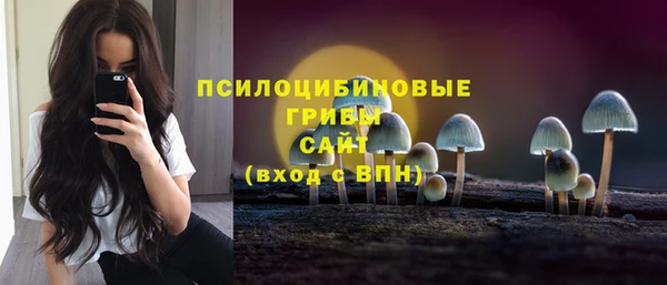 прущая мука Горно-Алтайск