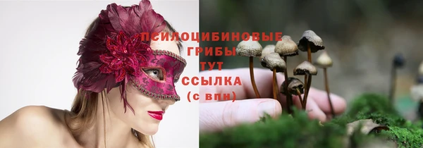прущая мука Горно-Алтайск