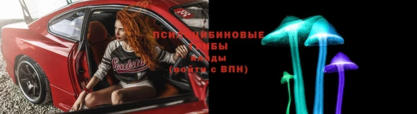 прущие крисы Горнозаводск